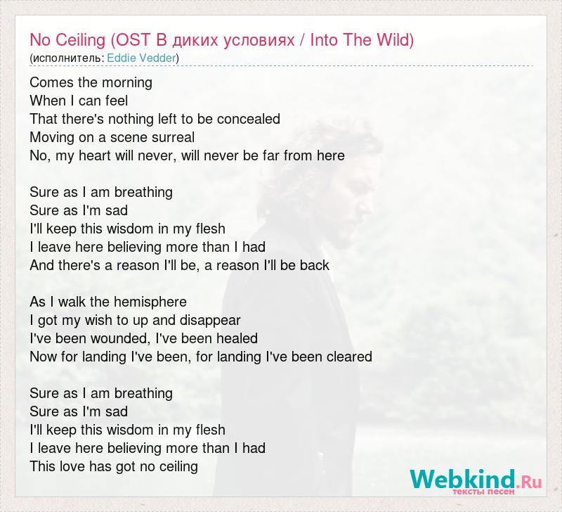 Eddie Vedder No Ceiling Ost V Dikih Usloviyah Into The Wild