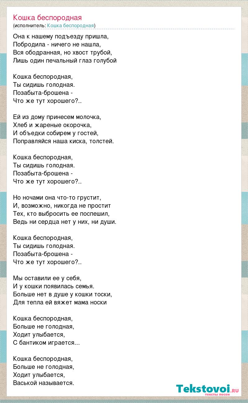 Текст песни новогодняя детский хор великан. Слова песни кошка беспородная. Кошка беспородная песня текст. Текст песни кошка. Слова песни кошка беспородная текст.