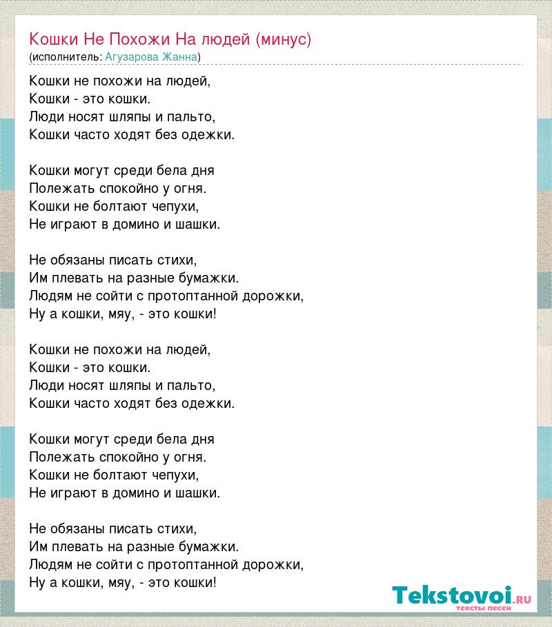 Песня кошечки хорошие лишние. Песня про кошку текст. Человек и кошка песня. Слова песни кошечки хорошие. Песня кошки не похожи на людей.